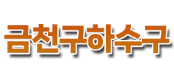 금천구하수구